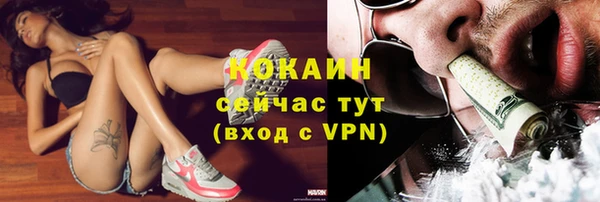 дмт Арсеньев