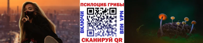 купить наркотик  Осинники  Галлюциногенные грибы Psilocybe 